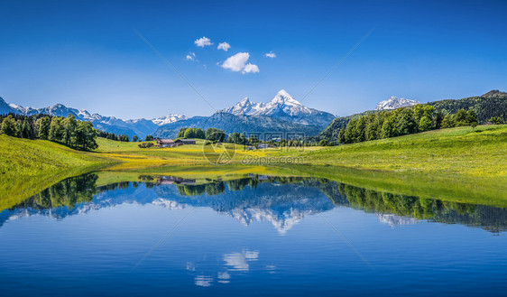 阿尔卑斯山丘的潮季夏风景全图片