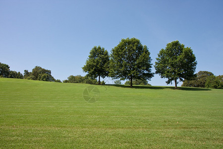 一座绿色的青绿山丘上面有树木天图片