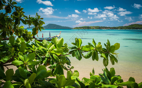 泰国沙滩上绿树枝的绿树枝满天青蓝云图片