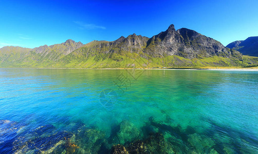 有翡翠水的挪威海Senja岛Ersfjord海滩上的著名地点美丽的挪威自然在夏日阳图片