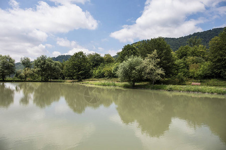 山上森林湖的美丽景观或夏季早晨美丽的森林湖图片