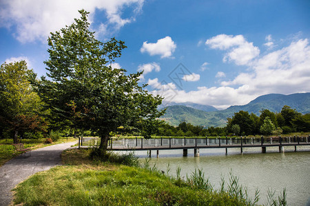 山上森林湖的美丽景观或夏季早晨美丽的森林湖图片