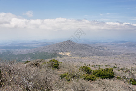 Oream与Oream在YeongsilTrail路向韩国济州岛Hallasan山公园的Baero背景图片