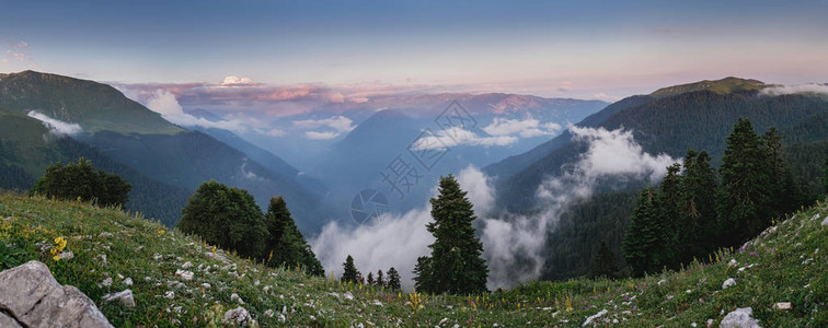 高山草原和山区森林的全景观图片