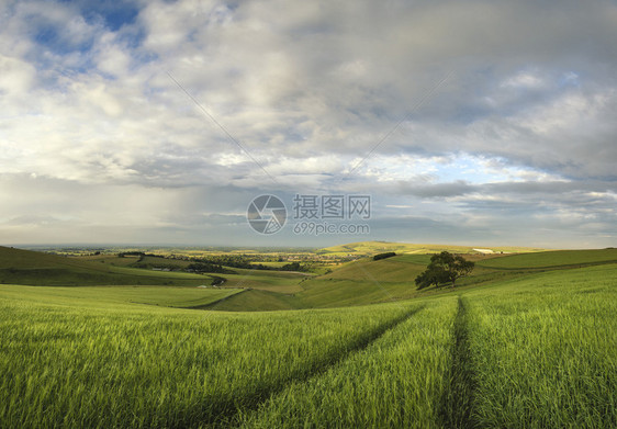 夏季令人惊叹的南唐斯乡村全景观图片