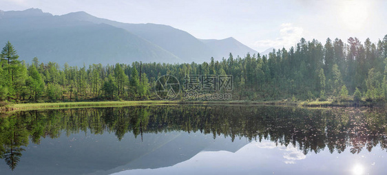 山川的美丽景色在森林树木和岩石之间在背景图片