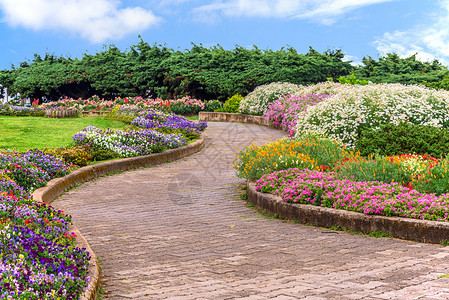 花园的景观美化花园的路图片