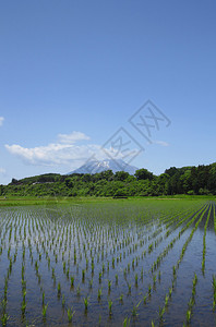 日本木冈伊瓦特山和牧区地背景图片