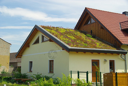 绿色屋顶图片