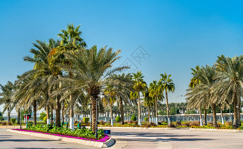 卡塔尔多哈CornichePromenad图片