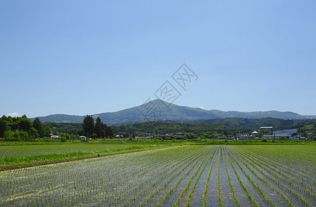 日本木田茂中山和牧业地貌日本背景图片