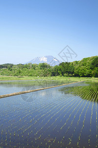 日本木冈伊瓦特山和牧区地背景图片