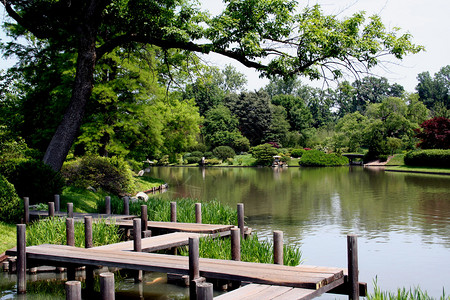 日本庭园中的桥图片