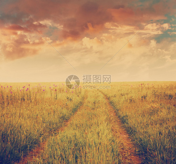 美丽的天空和日落的夏日田幻想背景反转过图片