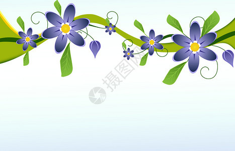 浅蓝色背景上的蓝色花朵图片