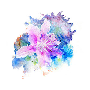 百合花的水彩画插图艺术花卉抽象背景图片