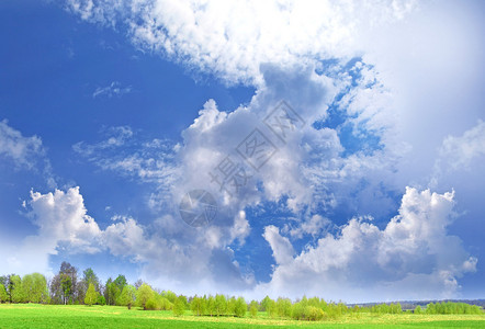 春天风景绿色领域和蓝色多云天空图片