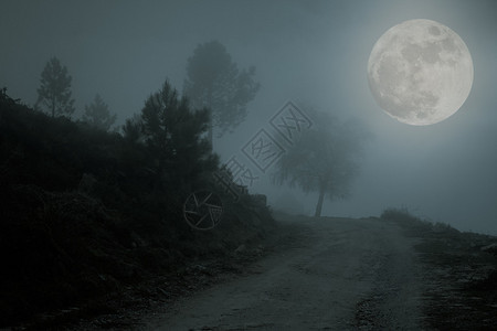 在满月的迷雾中与悬崖交图片