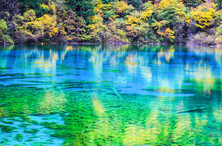 四川州珠海谷公园湖面图片
