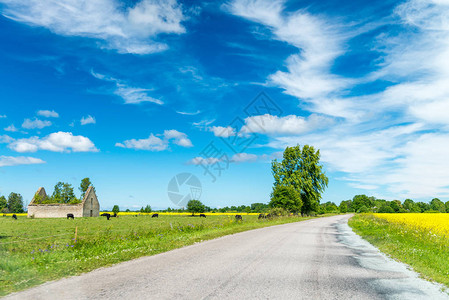 夏天横跨乡村的美丽道路图片