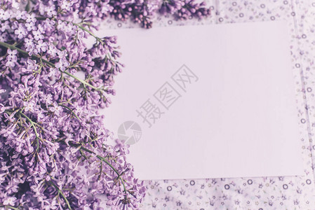 春花白木背景的花朵白色木本底的鲜花图片