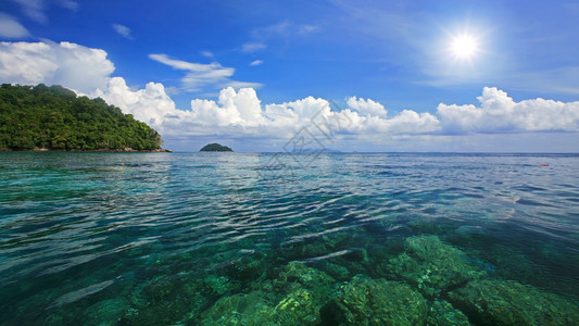 泰国苏林岛海洋公园浮潜点的热带透明绿松图片