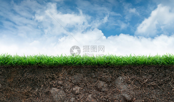 蓝天下的土壤和绿草图片