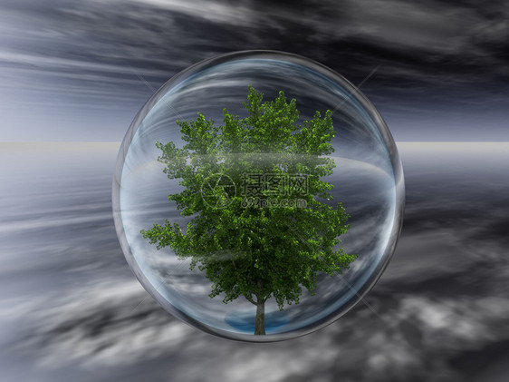 透明气泡中的树木保护图片