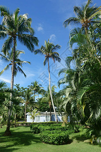 蓝天上有热带风景的蓝房子背景图片