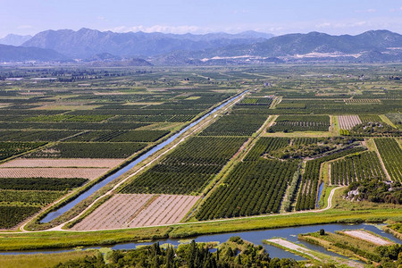 克罗地亚灌溉农业地貌景图片