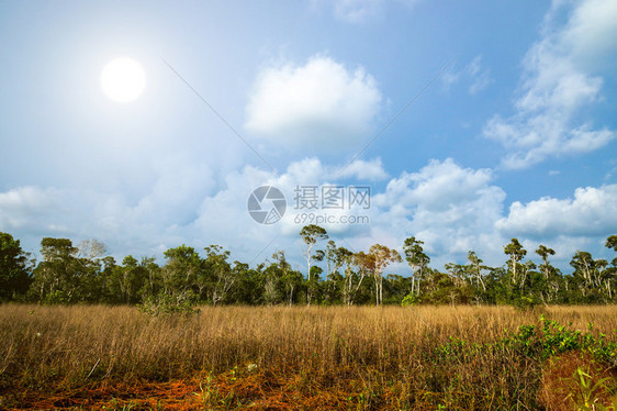 大草原董里泰国图片