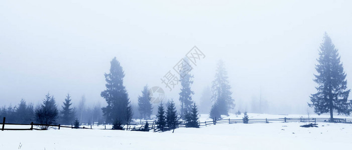 山中美丽的冬季景观日出有雾和雪的喀尔巴阡谷喀尔巴阡山脉的冬天晨光洒图片