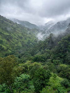 云雾缭绕的山谷景观图片
