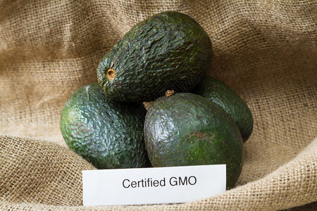 配有新鲜鳄梨和GMO标签的图片
