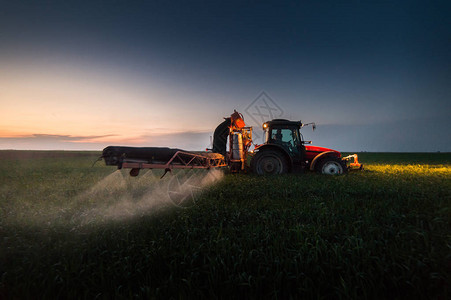 拖拉机在日落时用喷雾器在麦田喷洒农药背景图片