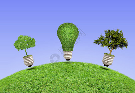 灯光生态概念绿树从灯泡中生长的绿图片
