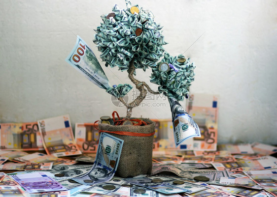 美元钞票树金钱树图片