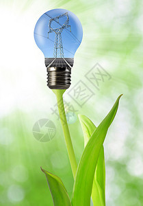 绿色背景灯泡中带太阳能电池板的电源线图片