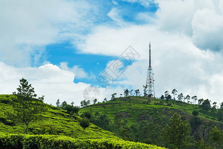 在哈普塔尔省绿色茶叶种植园和通讯塔的浏览情况斯里兰卡主要农图片