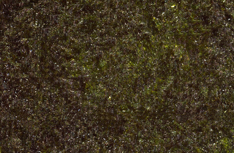 高分辨率海藻紫菜纹理背景图片