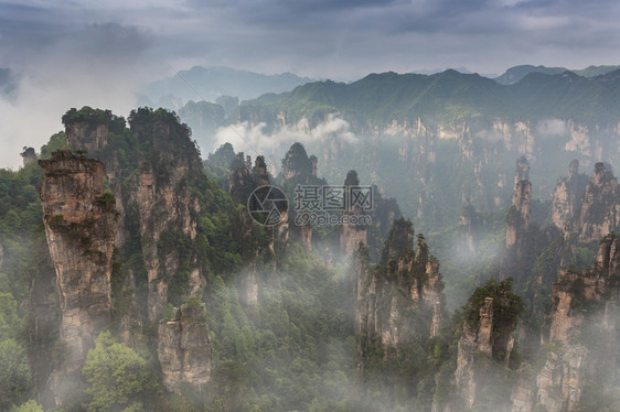 张家界阿凡达山脉的壮丽景色图片