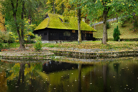 秋天公园和湖泊屋顶上有绿苔图片