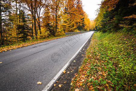 秋季风景有道路和美图片