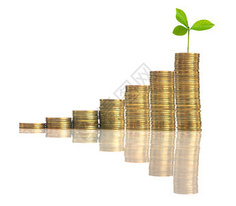 白背景绿色植物的硬币堆叠商业投资概念和图片