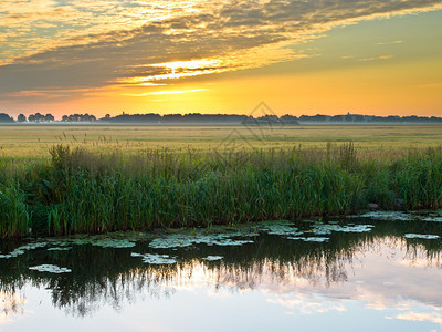 荷兰农村地区早间运河的运河10月1图片