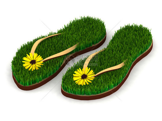 2个拖鞋绿色草地和黄色花朵在单片上图片