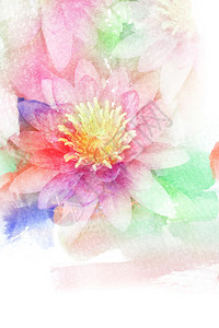 开花莲的抽象水彩插图水彩绘画图片