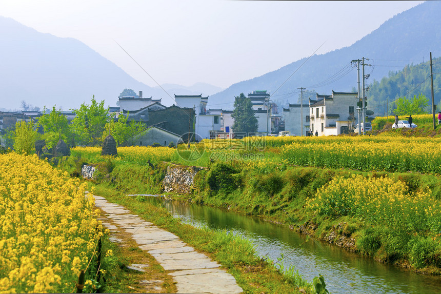 婺源的乡村景观和房屋图片