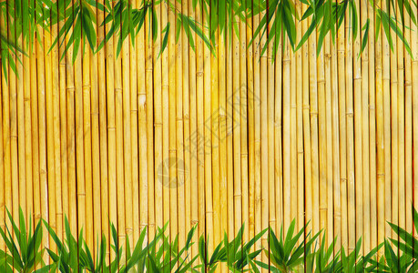淡金色竹背景背景图片