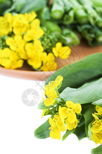 明黄色开花的油菜日本最古老的蔬菜背景图片